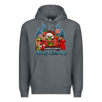 Rock merry christmas gnomes truck Premium Hoodie - FaDigitalArtStudio