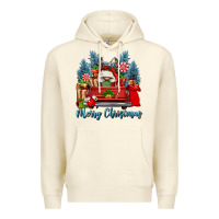 Sandshell merry christmas gnomes truck Premium Hoodie - FaDigitalArtStudio