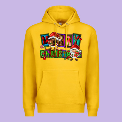 Merry Christmas Gnomies Premium Hoodie Designed By Fadigitalartstudio