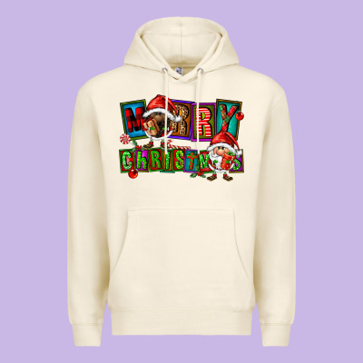 Merry Christmas Gnomies Premium Hoodie Designed By Fadigitalartstudio