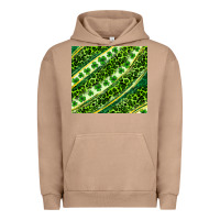 Pigment Burro St. Patrick's Day leopard tumbler Urban Hoodie - Neo Western