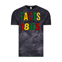 Cloud Black facts matter 1865 Vintage Tee - Artiststas