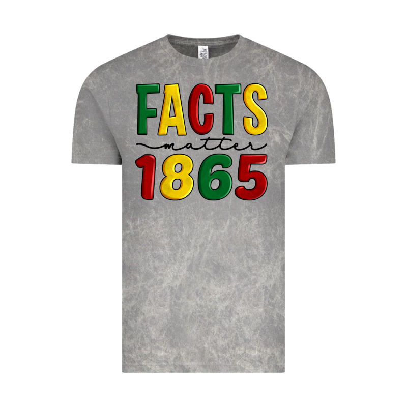 Facts Matter 1865 Vintage Tee by Artiststas | Teevron