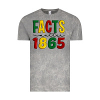 Cloud Rock facts matter 1865 Vintage Tee - Artiststas
