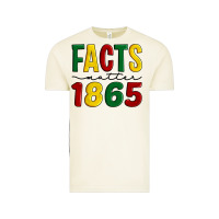 Vintage Arctic facts matter 1865 Vintage Tee - Artiststas