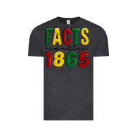 Vintage Black facts matter 1865 Vintage Tee - Artiststas