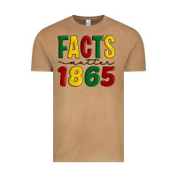 Vintage Camel facts matter 1865 Vintage Tee - Artiststas