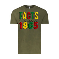 Vintage Olive facts matter 1865 Vintage Tee - Artiststas