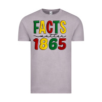 Vintage Zinc facts matter 1865 Vintage Tee - Artiststas