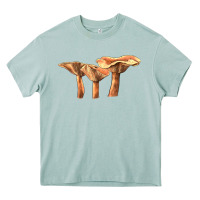 Arona Lactarius Rufus Mushroom Illustrations Heavy Core Tee - LillyAllenDesigns