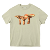 Mossy Lactarius Rufus Mushroom Illustrations Heavy Core Tee - LillyAllenDesigns