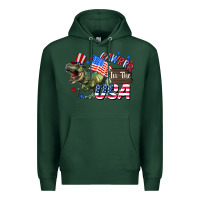 Sports Green Rawrrr in the USA 4th of july Premium Hoodie - CowGirlArtShop