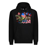 Rawrrr In The Usa 4th Of July Premium Hoodie | Teevron