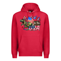 Cardinal Rawrrr in the USA 4th of july Premium Hoodie - CowGirlArtShop