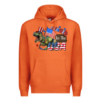 Carrot Rawrrr in the USA 4th of july Premium Hoodie - CowGirlArtShop