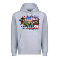 Heather Grey Rawrrr in the USA 4th of july Premium Hoodie - CowGirlArtShop