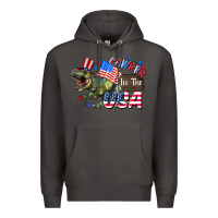 Smoke Rawrrr in the USA 4th of july Premium Hoodie - CowGirlArtShop