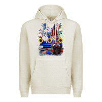4th Of July Gnomes Truck Premium Hoodie | Teevron