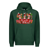 Sports Green Christmas girl elfs Premium Hoodie - FaDigitalArtStudio