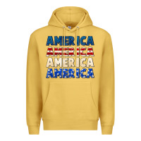 Antique Gold America 4th of July Premium Hoodie - CowGirlArtShop