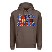 Coffee America gnomes 4th of July Premium Hoodie - CowGirlArtShop