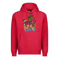 Cardinal salty beach Premium Hoodie - SublimationCraftShop