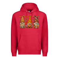 Cardinal fall gnome Premium Hoodie - HRA Design Shop