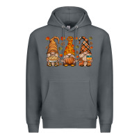 Rock fall gnome Premium Hoodie - HRA Design Shop