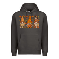Smoke fall gnome Premium Hoodie - HRA Design Shop