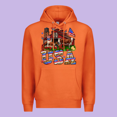 Barn In The Usa Premium Hoodie Designed By Neo Western