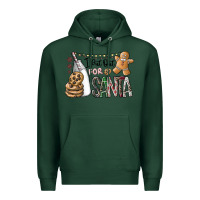 Sports Green i put out for santa Premium Hoodie - CowhideDigitalArt