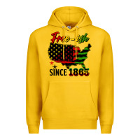 Lemon free ish since 1865 Premium Hoodie - HRA Design Shop