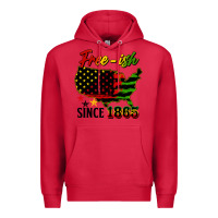 Cardinal free ish since 1865 Premium Hoodie - HRA Design Shop
