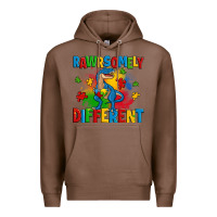 Chestnut rawrsomely different autism trex Premium Hoodie - Zillion Design Studio