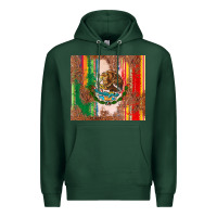 Sports Green mexican flag serape Premium Hoodie - CTS Tumbler Store