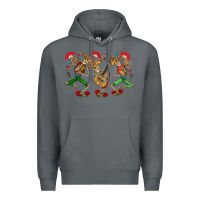 Rock mexican skeletons Premium Hoodie - CTS Tumbler Store