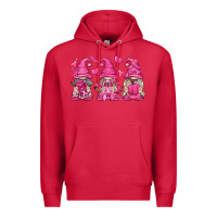 Cardinal Breast Cancer Gnomes Premium Hoodie - texasbilliewilder