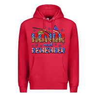 Cardinal honor and remember Premium Hoodie - Zillion Design Studio
