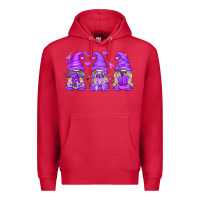 Cardinal Domestic Violence Warrior Gnomes Premium Hoodie - texasbilliewilder
