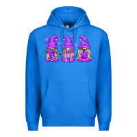 True Royal Domestic Violence Warrior Gnomes Premium Hoodie - texasbilliewilder