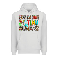 Dove Grey educator of tiny humans Premium Hoodie - Zillion Design Studio