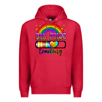 Cardinal gay pride loading Premium Hoodie - Zillion Design Studio