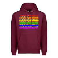 Burgundy lgbtq and usa flag Premium Hoodie - Zillion Design Studio