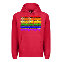Cardinal lgbtq and usa flag Premium Hoodie - Zillion Design Studio