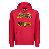 Cardinal Personalized Fall Pumpkin Premium Hoodie - texasbilliewilder