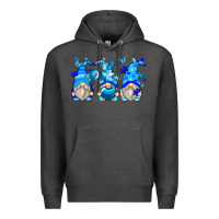 Charcoal Heather autism gnomes Premium Hoodie - Zillion Design Studio