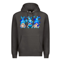 Smoke autism gnomes Premium Hoodie - Zillion Design Studio