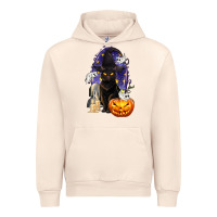 Sandshell Halloween Cat and Pumpkin Urban Hoodie - texasbilliewilder