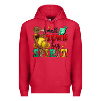 Cardinal small town big spirit softball Premium Hoodie - Zillion Design Studio
