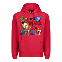 Cardinal small town big spirit baseball Premium Hoodie - Zillion Design Studio